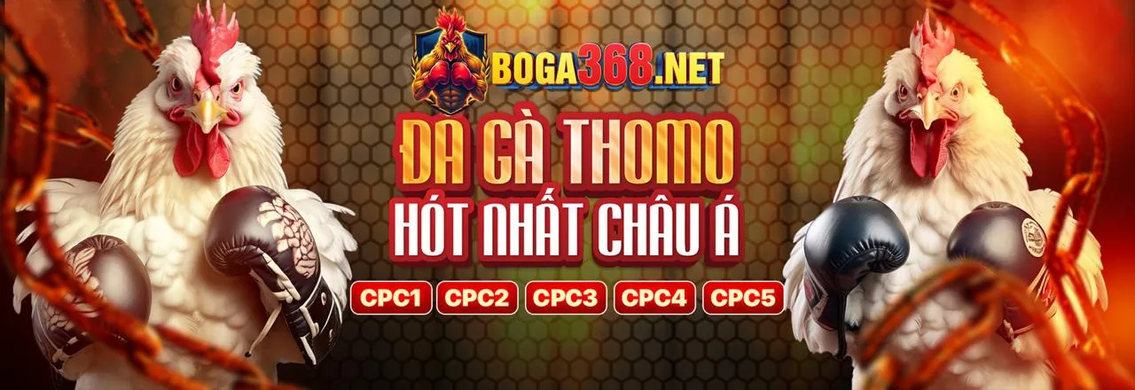 Hình ảnh chính về Câu Hỏi Thường Gặp của HI99